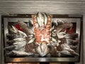 Fish shop at restaurant, mixed type fish and fish stand Royalty Free Stock Photo