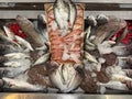 Fish shop at restaurant, mixed type fish and fish stand Royalty Free Stock Photo