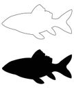 Fish silhouette - gill-bearing aquatic craniate animals that lack limbs with digits Royalty Free Stock Photo