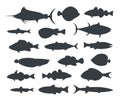 Fish silhouette. Isolated fish on white background Royalty Free Stock Photo