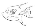 Fish silhouette with space objects comet, planet, star, constellation, doodling style, black freehand outline drawing Royalty Free Stock Photo