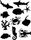 Fish Silhouettes Royalty Free Stock Photo