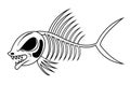 Fish skeleton Royalty Free Stock Photo