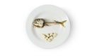 Fish skeleton and modicum foods on plate Royalty Free Stock Photo