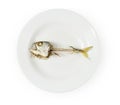 Fish skeleton on plate Royalty Free Stock Photo