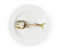 Fish skeleton on plate