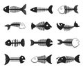 Fish skeleton set Royalty Free Stock Photo