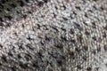 Fish skin background, silvery scales close up