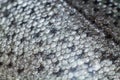 Fish skin background, silvery scales close up