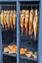 Fish in a smoker
