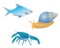 Fish snail lobster Royalty Free Stock Photo