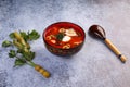 Fish solyanka - traditional russian soup with pickles. Royalty Free Stock Photo