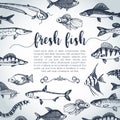 Fish sorts and types. Hand drawn vector illustrations. Lake fish in line art style. Vector sea and ocean creatures for