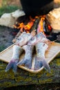 Fish soup prepared over an open fire. Royalty Free Stock Photo