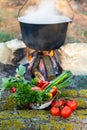 Fish soup prepared over an open fire. Royalty Free Stock Photo