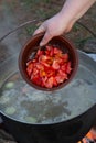 Fish soup prepared over an open fire. Royalty Free Stock Photo