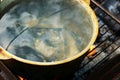 Fish soup with grayling cooked in large castiron pot at bonfire