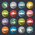 Fish species icons Royalty Free Stock Photo