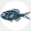 Fish species, vector marine fauna symbol. Hand drawn silhouette Royalty Free Stock Photo