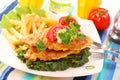 Fish on spinach with fries Royalty Free Stock Photo