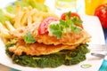 Fish on spinach with fries Royalty Free Stock Photo