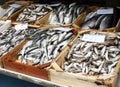 Fish stall Royalty Free Stock Photo