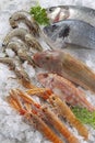 Fish stall on crushed ice. Supermarket, fish department Royalty Free Stock Photo