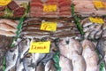 Raw Fish stall