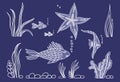 Fish,star, algae on seabed.