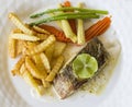 Fish steak and french fried Royalty Free Stock Photo