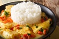 Fish stew in coconut milk with vegetables and rice close-up. horizontal Royalty Free Stock Photo