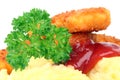 Fish stick. Royalty Free Stock Photo