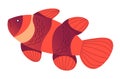 Tropical sea animal, goldfish with stripes vector