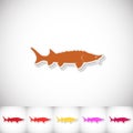 Fish sturgeon. Flat sticker with shadow on white background