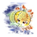 Fish-sun and fish-moon