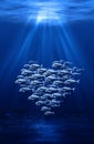 Fish swarm forming a heart Royalty Free Stock Photo