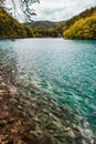 Fish swimming in the lake with turquoise water, amid cascades of waterfalls. Plitvice, National Park, Croatia Royalty Free Stock Photo