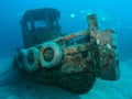 Fish swimming near a sunken ship at the bottom of the sea. Royalty Free Stock Photo