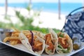 Fish Tacos Royalty Free Stock Photo