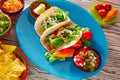 Fish tacos mexican food guacamole nachos and chili Royalty Free Stock Photo