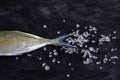 Fish tail and salt close up on a dark vintage background. Fishing on the Mediterranean sea Royalty Free Stock Photo