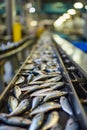 fish on a tape in production. Selective focus.