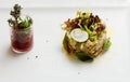 Fish tartare