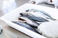 Fish to be tested in laboratory, quality test Royalty Free Stock Photo