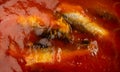 Fish in Tomato Sauce Royalty Free Stock Photo