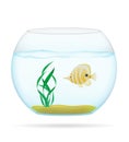 Fish in a transparent aquarium vector illustration Royalty Free Stock Photo