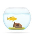 Fish in a transparent aquarium vector illustration Royalty Free Stock Photo