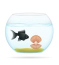 Fish in a transparent aquarium vector illustration Royalty Free Stock Photo