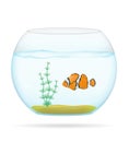 Fish in a transparent aquarium vector illustration