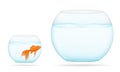 Fish in a transparent aquarium vector illustration